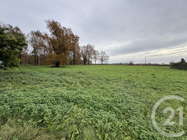 maison à vendre - 5 pièces - 202.0 m2 - TIZAC DE LAPOUYADE - 33 - AQUITAINE - Century 21 Estuaire