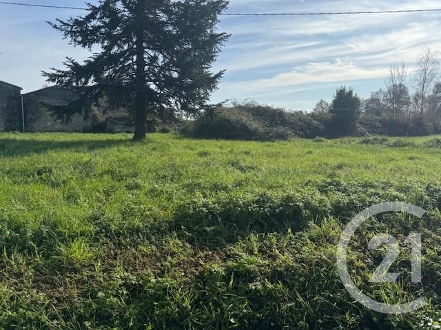 terrain à vendre - 418.0 m2 - ST GENES DE FRONSAC - 33 - AQUITAINE - Century 21 Estuaire