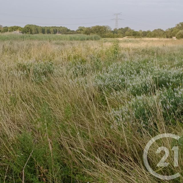 terrain à vendre - 5625.0 m2 - ST LOUBES - 33 - AQUITAINE - Century 21 Estuaire